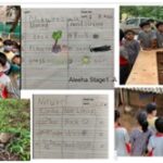 Learners of Stage 1 explored the living and non living things.