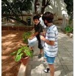 Satge 3 learners learnt about potted plants in Suchitra’s green campus.
