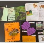 Stage 1 learners explored the genre of nonfiction books with ‘Animal Report Writing’.