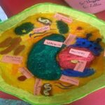 Model of a Cell:The students of Grade VIII prepared a model of a cell. Building a model helped children to express their individual thoughts freely.