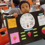 Fruitful Delights: Learners of Stage 1 showcased their favourite fruits, highlighted their benefits, and shared expert insights on preserving their nutritional value.